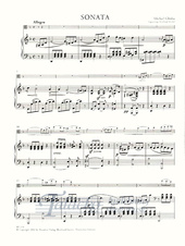 Viola Sonate d-moll